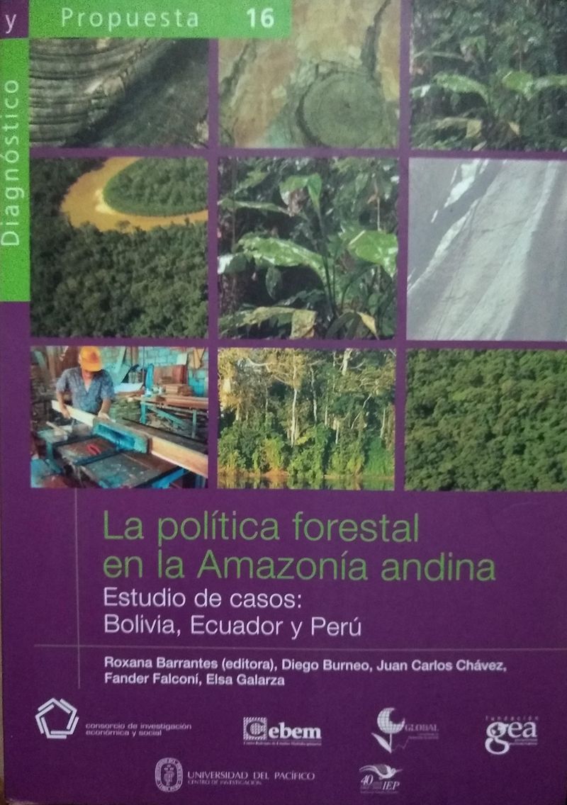 La política forestal en la Amazonía andina. Estudio de casos: Bolivia, Ecuador y Perú