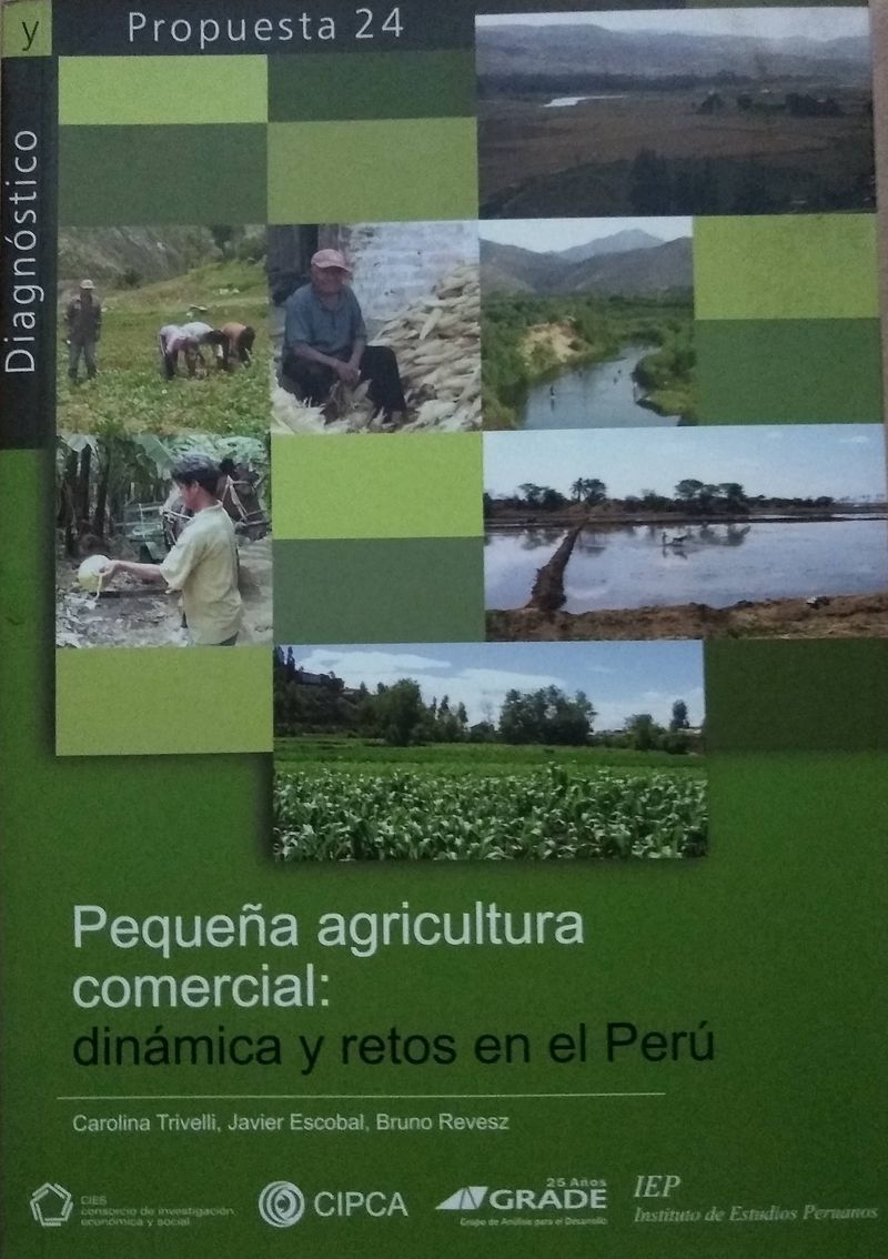 Pequeña agricultura comercial: dinámica y retos en el Perú