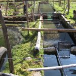 Estudio sobre tecnologías acuícolas innovadoras en Loreto