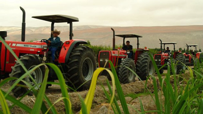 Brechas de género en el valor económico de las unidades agropecuarias en el Perú