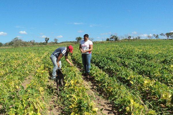 Calendario agrícola y deserción escolar en los espacios rurales del Perú