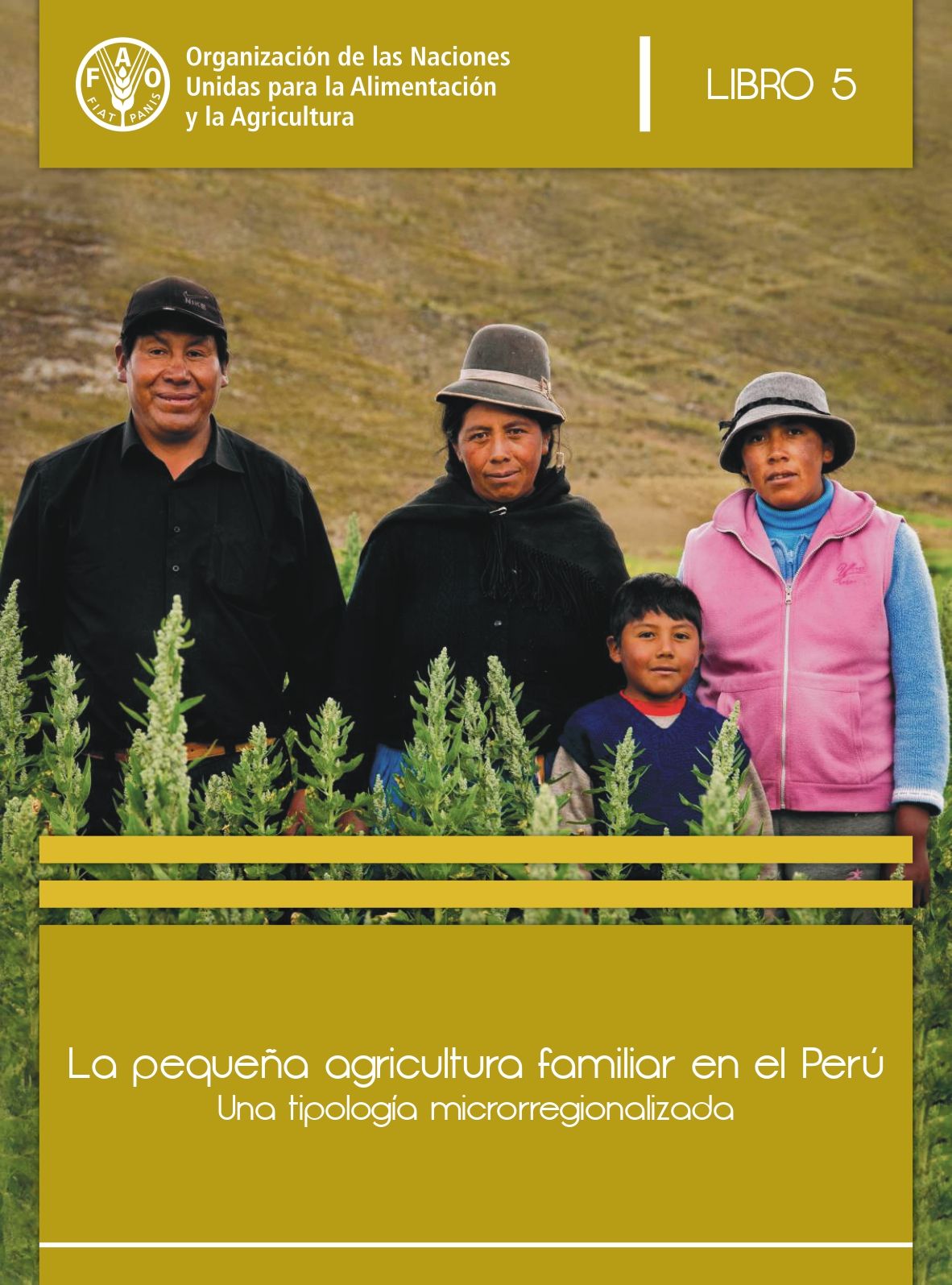 La pequeña agricultura familiar en el Perú. Una tipología microrregionalizada