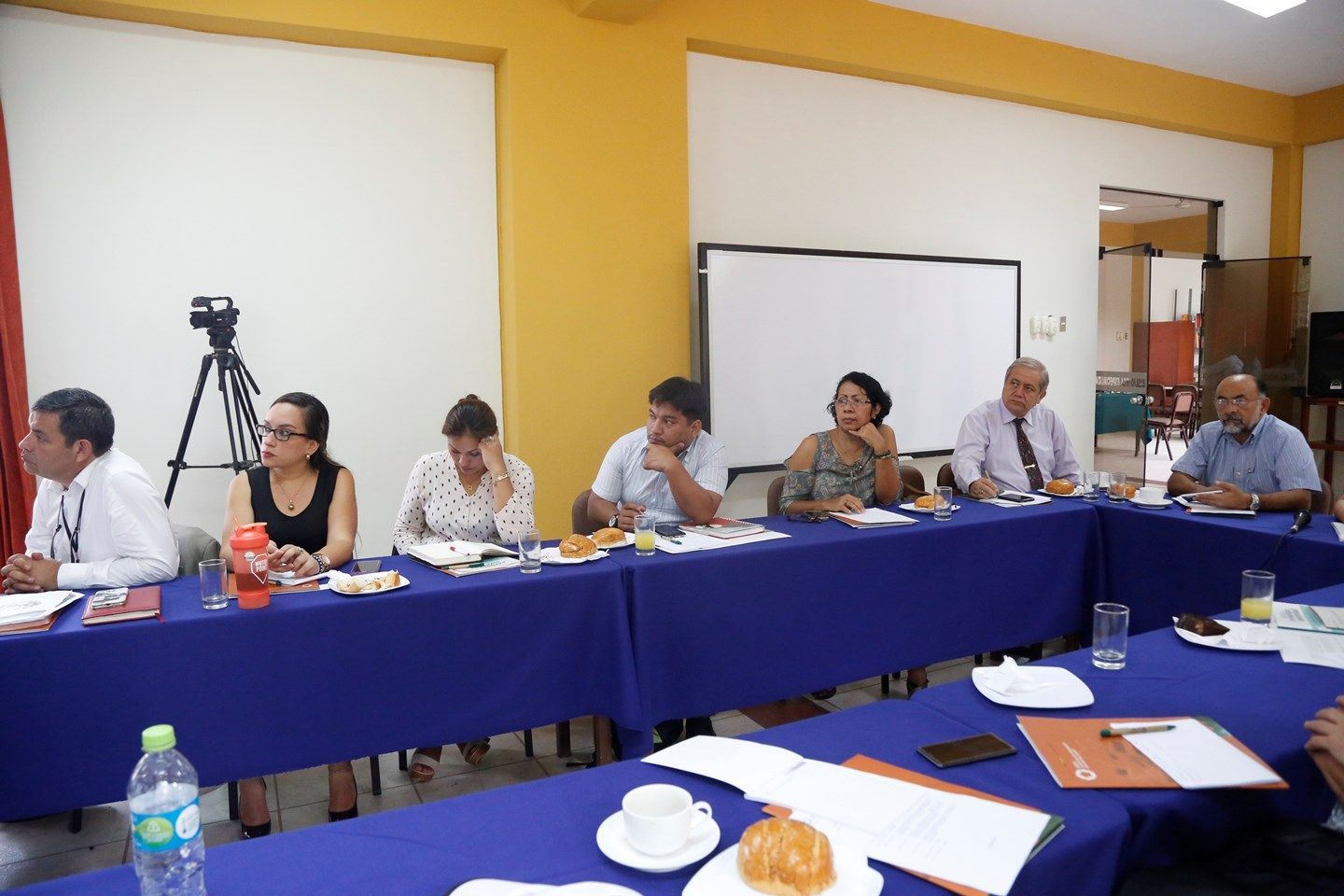Reunión Grupo de expertos sobre minería artesanal y pequeña minería en Piura