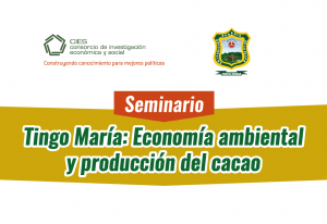Seminario CIES – Tingo María 2019