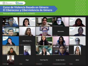 Taller in house Sunass: Violencia Basada de Género: Ciberacoso y Ciberviolencia de Género