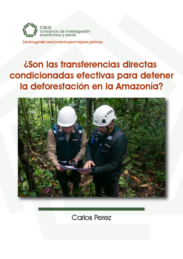 ¿Son las transferencias directas condicionadas efectivas para detener la deforestación en la Amazonía?