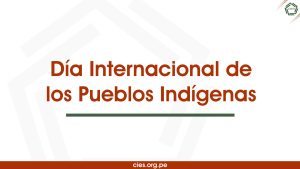 Fortalecimiento de plataformas indígenas y titulación de sus territorios son clave para promover desarrollo sostenible en Perú
